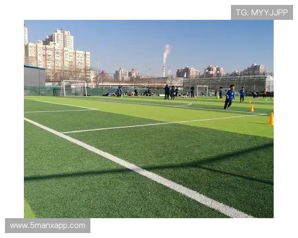 足球巨星与乡村女孩的浪漫爱情故事在绿茵场外绽放的温暖与感动